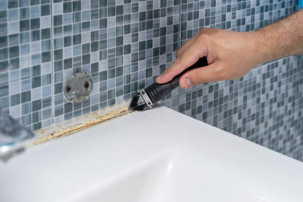 Best Commercial Mold Remediation in Acworth, GA